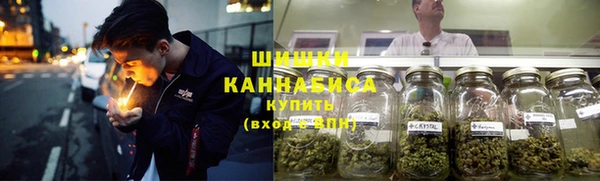 СК Новозыбков