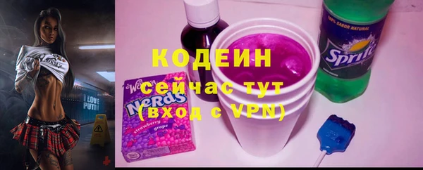 СК Новозыбков