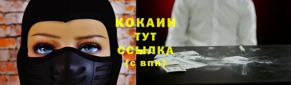 СК Новозыбков