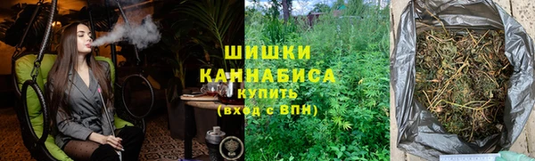 СК Новозыбков