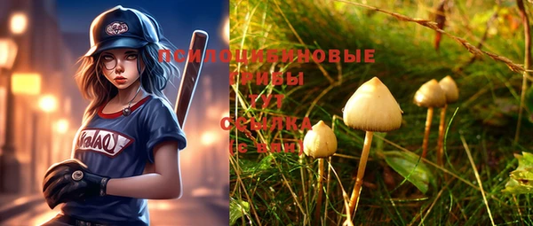 дмт Новокубанск