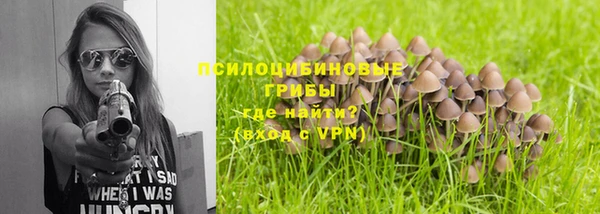 дмт Новокубанск