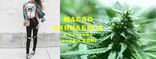 СК Новозыбков