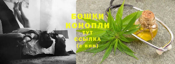 СК Новозыбков