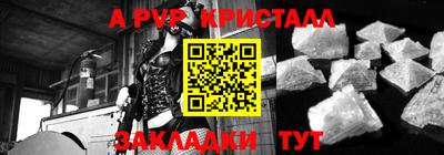 МДПВ Кингисепп