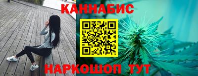 МДПВ Кингисепп