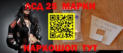 МДПВ Кингисепп