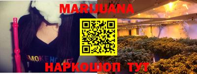 МДПВ Кингисепп