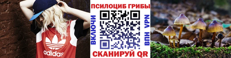 Псилоцибиновые грибы MAGIC MUSHROOMS Свободный