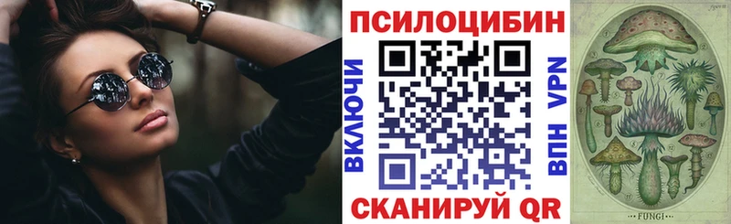 Псилоцибиновые грибы GOLDEN TEACHER  Свободный 