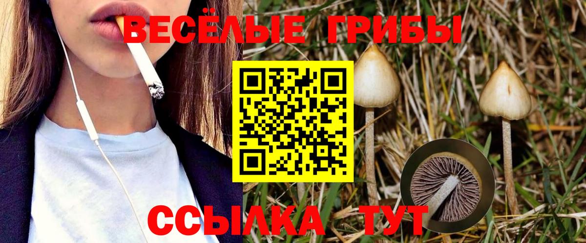 Свободный  Галлюциногенные грибы мухоморы  Вход с VPN 